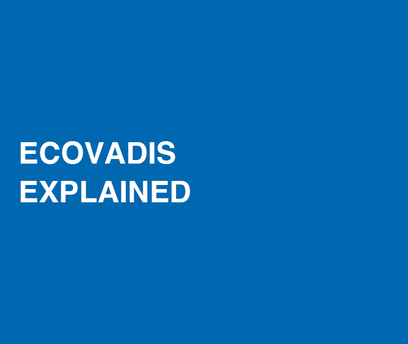 EcoVadis Explained 